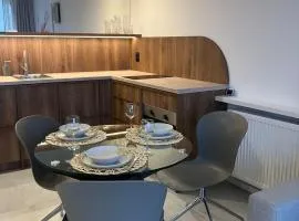 Architects Edition Premium Apartment Katowice