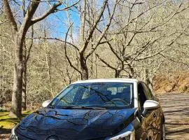 PARADISERENTS aluguer de carros