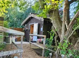 Readers Cabin-Cosy Countryside Studio Cabin