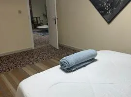 شقة بن شامس