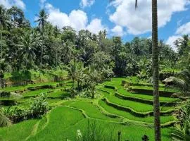 Gongwi Cottages Sidemen