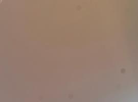 Kilimanjaro Roots, hotel in Uru