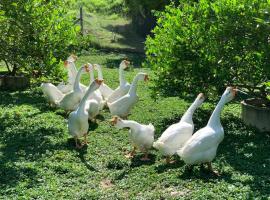 NEW! Reen Run Farm Stay Panoramic View ใกล้เขาใหญ่ – hotel w mieście Muaklek