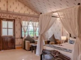 Desert Story Night Camp