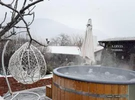 Casa Dives - Transylvania