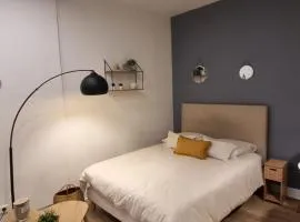 Studio Centre-ville, proche métro et Paris