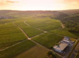 FERIENWOHNUNG in den Weinbergen WEINGUT SOHNS