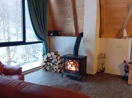 Cabana Aframe Blidari