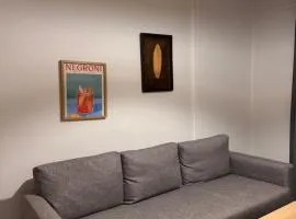 Psani 50m2 apartment