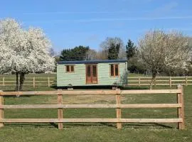 The Daisy Cabin with wood fired hot tub