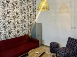 Appartement Ensoleillé au coeur de la ville