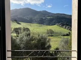 Maison typique Corse en pleine nature