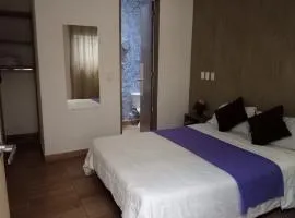 Hotel Alcuara Pereira Center