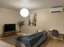 Gem of Vuosaari - private sauna, free parking and WiFi, walking distance from metro
