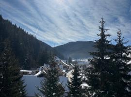 Pensiunea de la Rau Moieciu de sus, готель у місті Моєчу-де-Сус