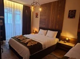 Grand Albi Apartament