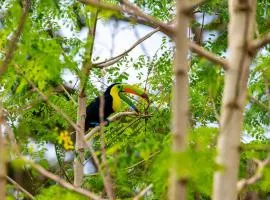 Rio Celeste Birds Garden Apartment with Air Conditioning Comfort and Privacy in a Natural Environment 4