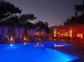 Casa Trees Boutique Hotel