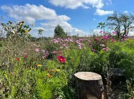 Family-friendly, entire house