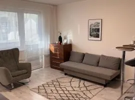 Elegant Escape apartment IV - free parking, easy access to City Center