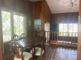 A cabin in the mountains