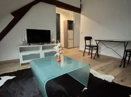 Charmant T2 - Proche centre ville