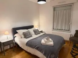 Appartement CITY CENTER-SALLANCHES