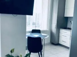 Агора студио