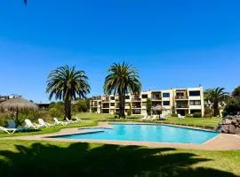 VISTAMAR ABANICO Maitencillo