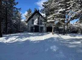 Golden peak Blidinje