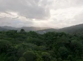 El Templo- Jungle Mirador