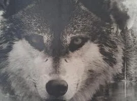 Wilcza Chatka na Kaszubach,niedaleko stoku Koszałkowo,kominek,balia