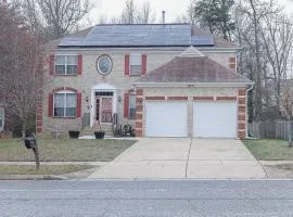 Elegant Studio Suite - Near DC & Top Attractions