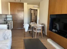 Luxury Apartment R&I