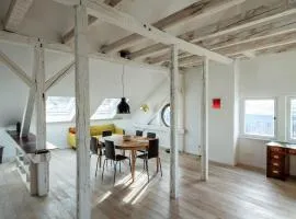 Loft im Dachgeschoss der Häselburg mit Weitblick