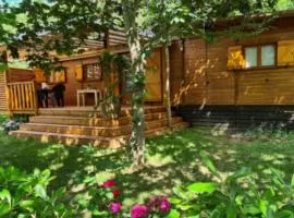 Chalet Convivial avec Terrasse - 52m², 6 pers. - API-1-52-1749