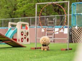 Chuncheon Dogandstay，春川的飯店