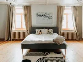 STRIĶU15 - Plašs studio dzīvoklis