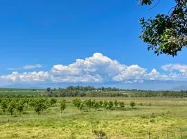 Bee’s Knees Cottage