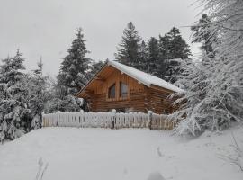 Les Rondins du bois d'Eden - Chalet 8p, Hotel in Anould