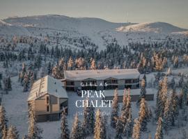 Peak Chalet Ski-in Ski-out by Aavalevi, hotel en Levi