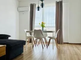 Chindia Park Lake Apartment