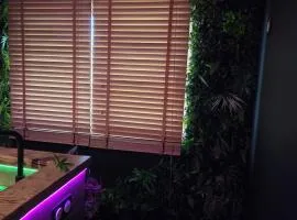 Jacuzzi privé pour une nuit d'amour