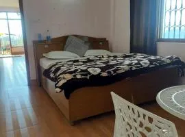Pankaj homestay