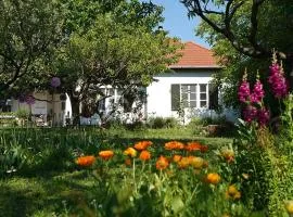Villa Old Almond