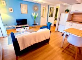 Le beau Dolois centre ville