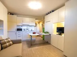 Modern Practical Studio In Sauze