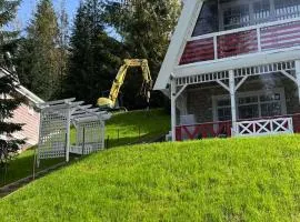 Freeman-4a апартамент з кухнею, терасою, грилем - на увесь перший поверх котеджу 4місний