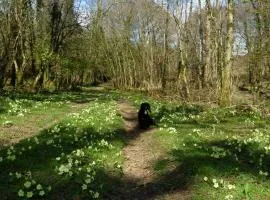 Quiet, Countryside Retreat, Spreacombe Gardens near Woolacombe