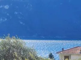 Appartamento L'ulivo 5 chilometri da Varenna vista lago in via privata